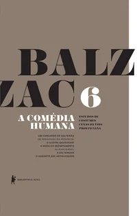 A Comédia Humana, Volume 6: Estudos de Costumes: Cenas da Vida Provinciana