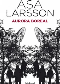 Aurora Boreal
