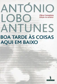 Boa Tarde às Coisas Aqui em Baixo