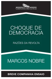 Choque de democracia - Razões da revolta