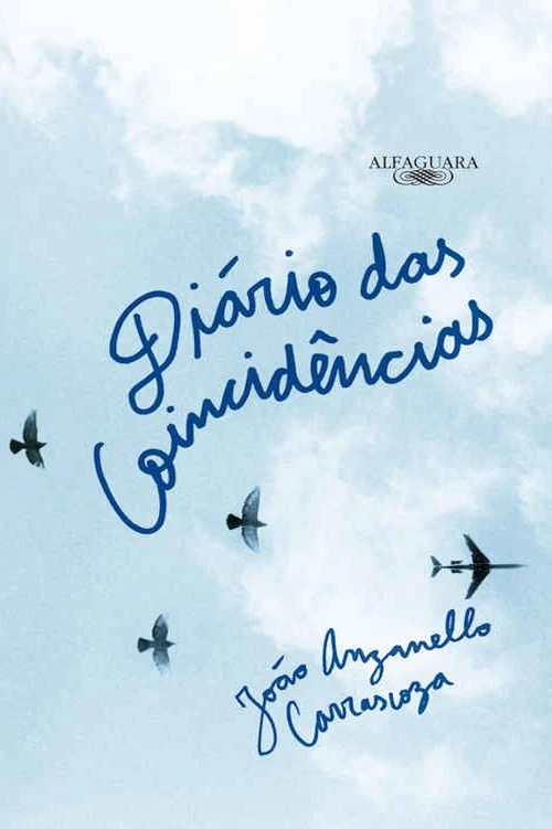 Diário das coincidências: Crônicas do acaso e histórias reais