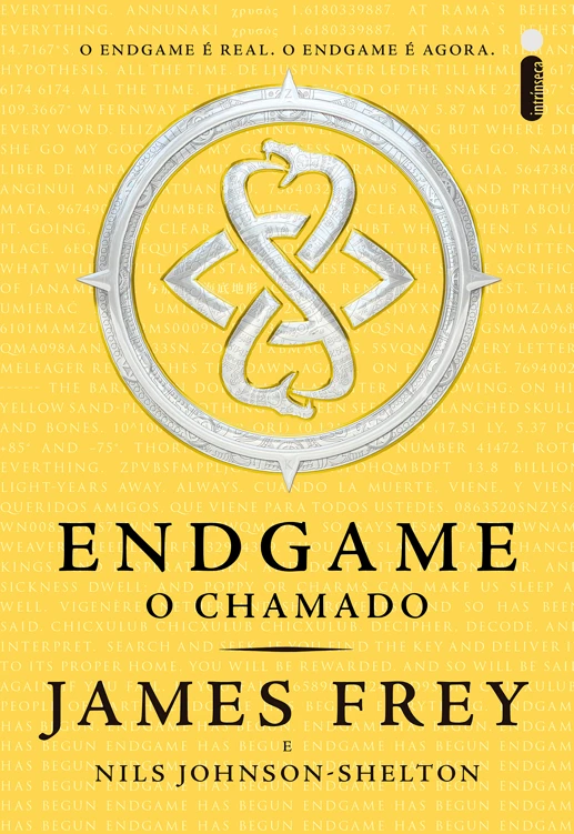 Endgame: O chamado