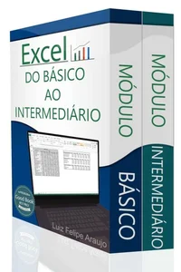 Excel (2 em 1): do básico ao intermediário