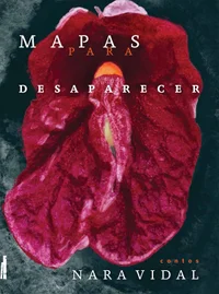 Mapas para desaparecer