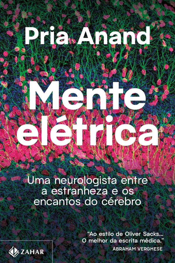 Mente elétrica: Uma neurologista entre a estranheza e os encantos do cérebro