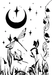 O Mistério da Estrela - Stardust
