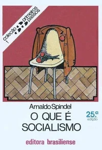 O que é Socialismo