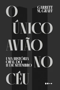 O único avião no céu