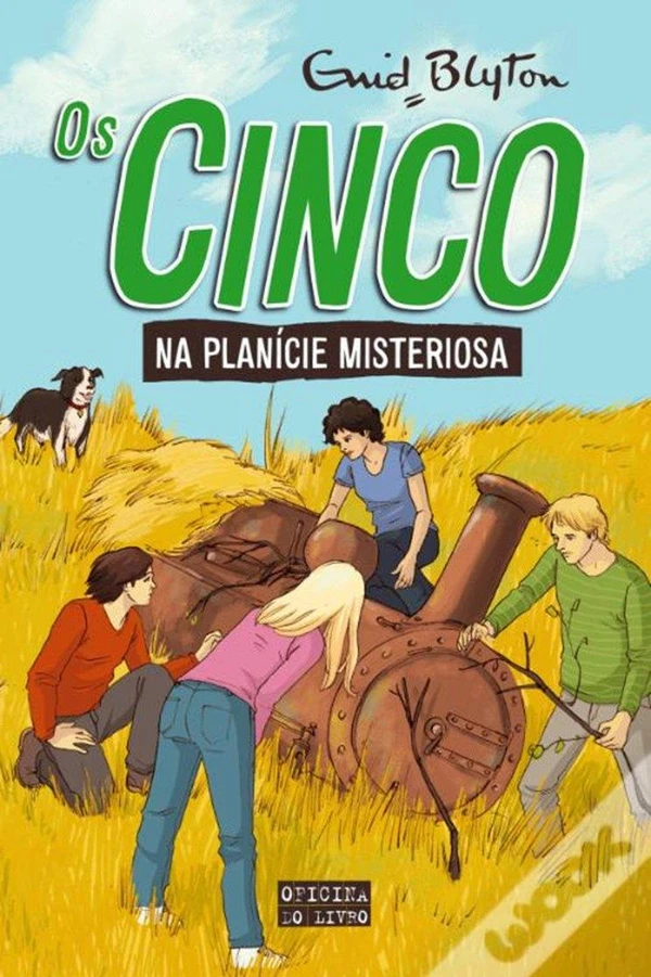 Os Cinco Na Planície Misteriosa