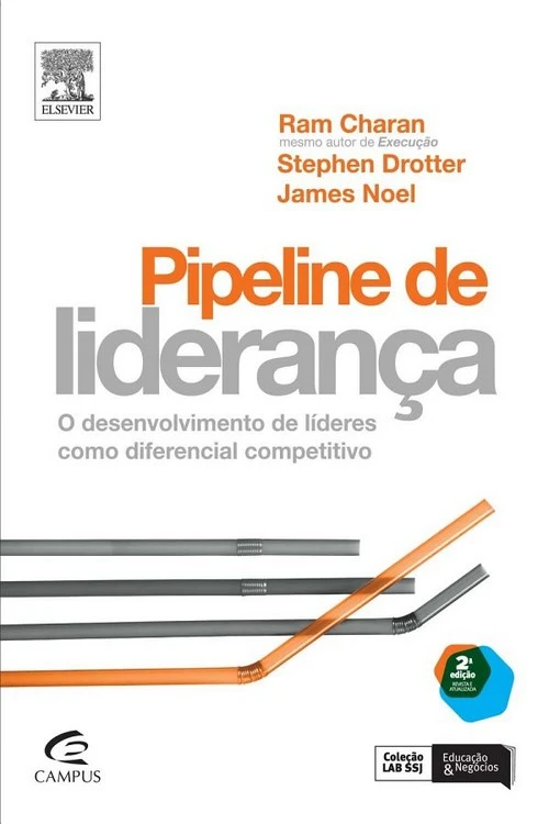 Pipeline de Liderança: O Desenvolvimento de Líderes como Diferencial Competitivo