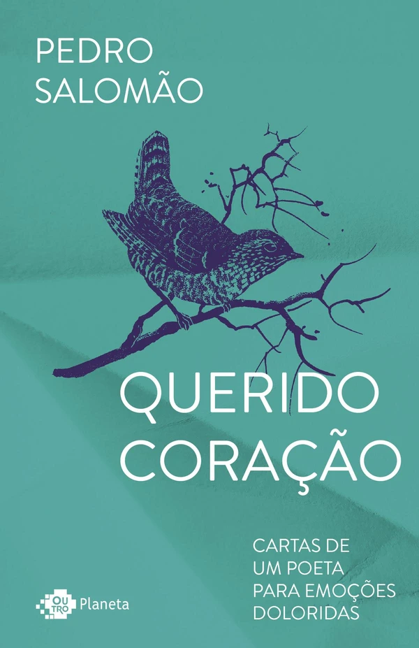 Querido coração: cartas de um poeta para emoções doloridas
