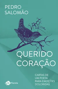 Querido coração: cartas de um poeta para emoções doloridas