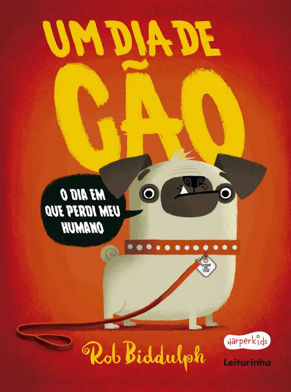 Um dia de cão